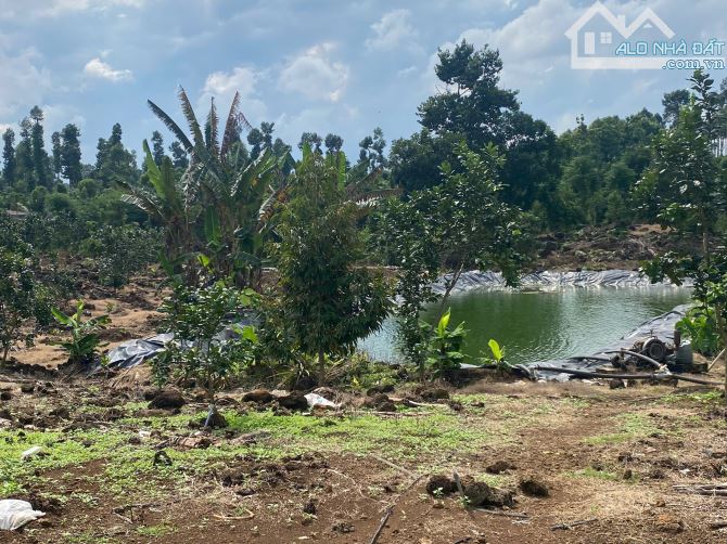 3ha đất,chỉ 800 triệu ha,đất có điện nước đầy đủ,thích hợp lập vườn cây ăn trái - 5