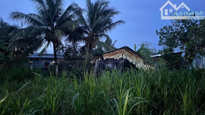 350tr b.á.n 338,2m2 đất nền gần Chợ Tân Điền, Gò Công Đông, Tiền Giang. - 5