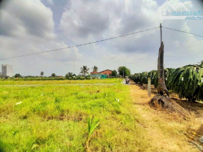 Quá Ngộp, 706m2 đất vườn 15x 37m, KDC Thanh Phú, 420tr - 5