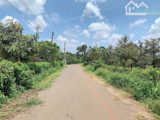 Bán khoảng 5 sào 7 (5681m2) đất Láng Lớn, huyện Châu Đức, BRVT. - 7