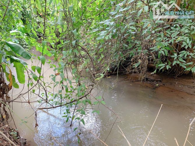 Bán khoảng 5 sào 7 (5681m2) đất Láng Lớn, huyện Châu Đức, BRVT. - 8