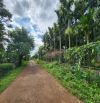 Đất nhà vườn Buôn Komleo - Hoà thắng