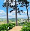 🏡 BÁN ĐẤT ĐƯỜNG Ô TÔ LỚN HOÀNG HOA THÁM - VIEW CỰC ĐẸP - CÁCH HỒ XUÂN HƯƠNG CHỈ 1KM