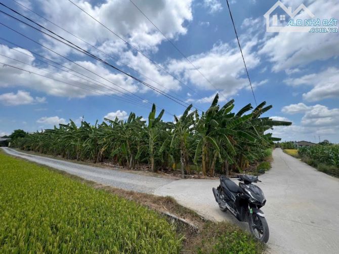 🚀 CƠ HỘI ĐẦU TƯ BĐS F0 – BÌNH LÃNG, TÂN TRỤ, LONG AN 🚀 💰 Sở hữu đất nền chỉ từ 420 triệ