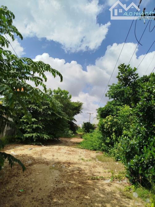 ĐẤT MẶT TIỀN QL1A – AN PHÚ ĐÔNG, Q.12 – DIỆN TÍCH KHỦNG 5.434M² – GIÁ TỐT ĐẦU TƯ