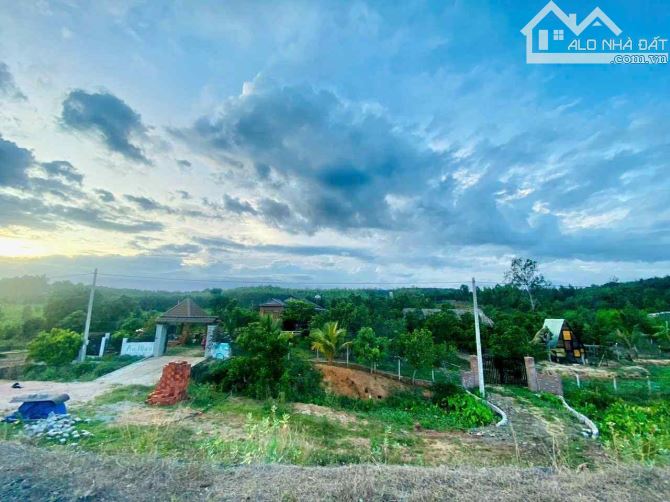 BÁN GẤP ĐẤT VƯỜN SIÊU RỘNG SIÊU ĐẸP TẠI LONG TÂN - BÀ RỊA VŨNG TÀU!
