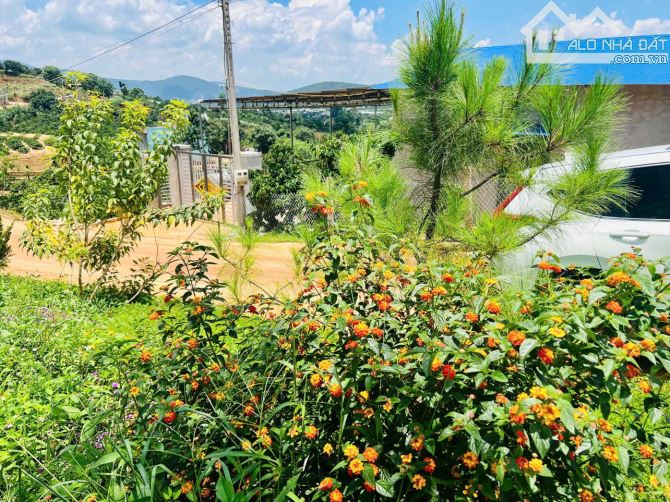 Đất Phía Nam Đà Lạt 23km . Sổ hồng 354m2 . Sẵn 300m2 đất xây dựng