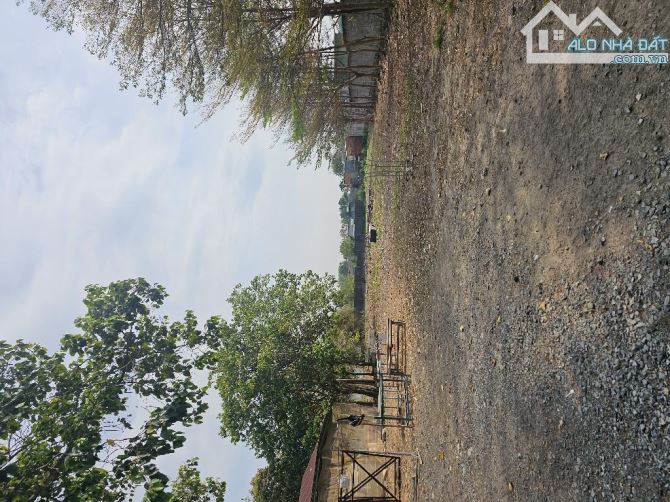 BÁN GẤP LÔ ĐẤT MẶT TIỀN THỤT NGUYỄN THỊ LẮNG CỦ CHI - 50M x 100M THỔ CƯ - NHẸ 7 TR/M2