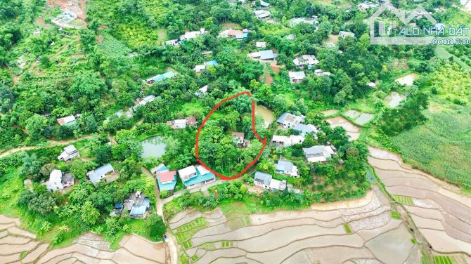3050m Có 2000m Đất Ở - Phân Lô Đẹp - View Cánh Đồng Làm Nghỉ Dưỡng Cực Chill