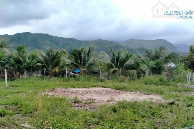 Bán lô đất nhà ở Cam Tân - Cam Ranh giá rẻ !