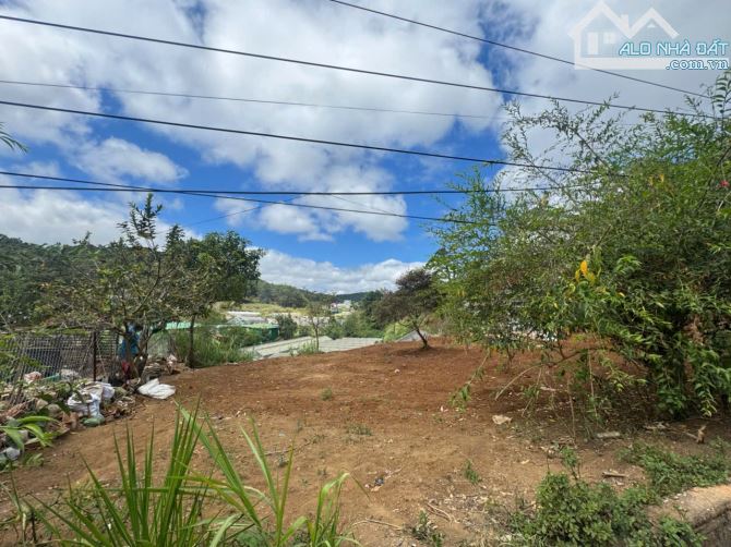 Bán đất biệt thự mặt tiền view rừng thông đường Hoàng Văn Thụ thành phố Đà Lạt