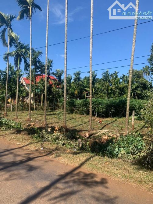 ĐÂT PHƯỜNG TÂN AN MỚI - EATU  CŨ  ĐANG HÓT DT Siêu víp vừa Rộng vưa dài  mặt tiền nguyễn x
