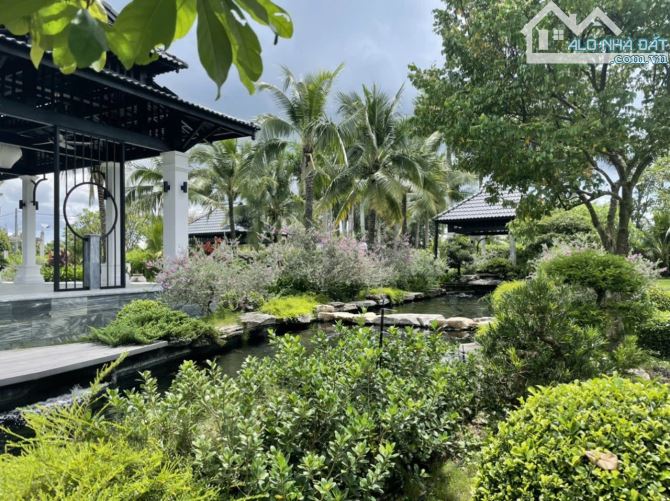 Bán khu du lịch, nghĩ dưỡng 79.000m2 mặt Sông Sài Gòn Củ Chi - 11
