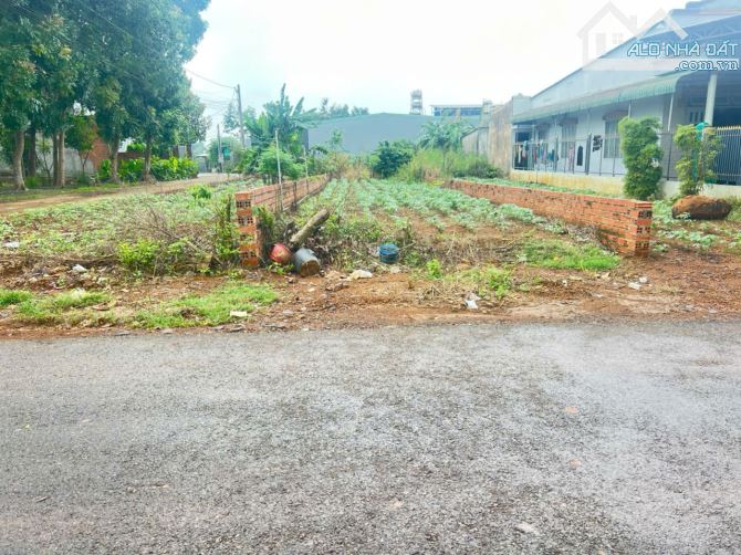 Bán 170m2 đất sổ riêng đường Tây Hòa Trảng Bom Đồng Nai, 920 triệu. - 1