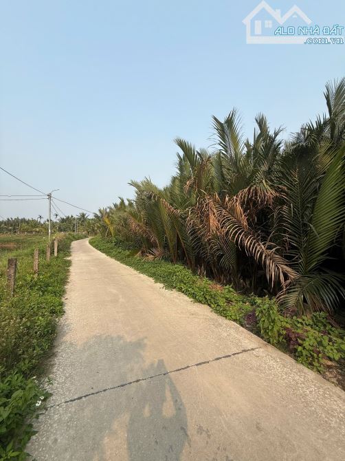 SIÊU RẺ Cẩm Thanh HỘI AN góc 2 mặt tiền View Dừa , Hồ , Sông - 1