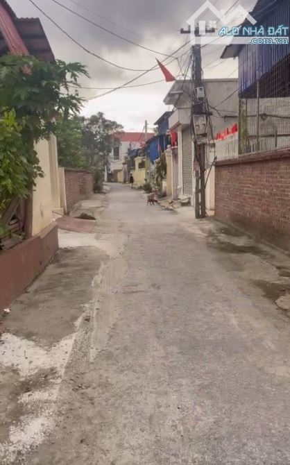 Chào bán 2 lô f0 Hoà Bình, TP Thuỷ Nguyên đường 2 ô tô tránh nhau ngay gần dự án Vlasta - 1