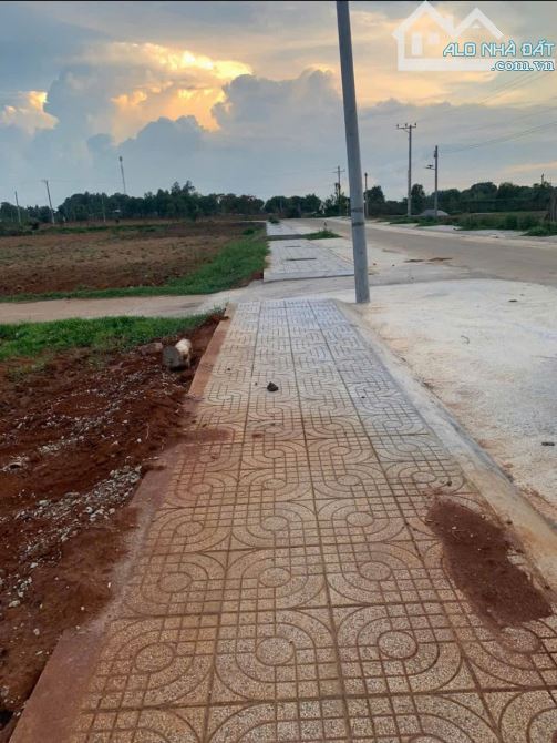 Hạ giá ngộp – bán gấp đất đẹp đối diện khu công nghiệp 450ha – chỉ 950 triệu - 1