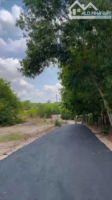 BÁN LÔ ĐẤT TÂN HIỆP - LONG THÀNH 950TR SỔ RIÊNG. FULL THỔ CƯ - 1