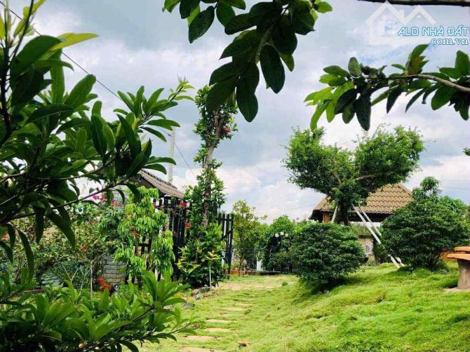 BÁN GẤP ĐẤT VƯỜN SIÊU RỘNG SIÊU ĐẸP TẠI LONG TÂN - BÀ RỊA VŨNG TÀU! - 1