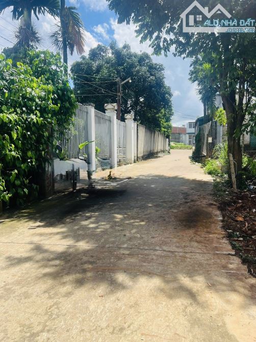 ✅ Bán Lô Đất Hẻm 08 Đặng Tất - Phường Tân An - TP.BMT. - 1