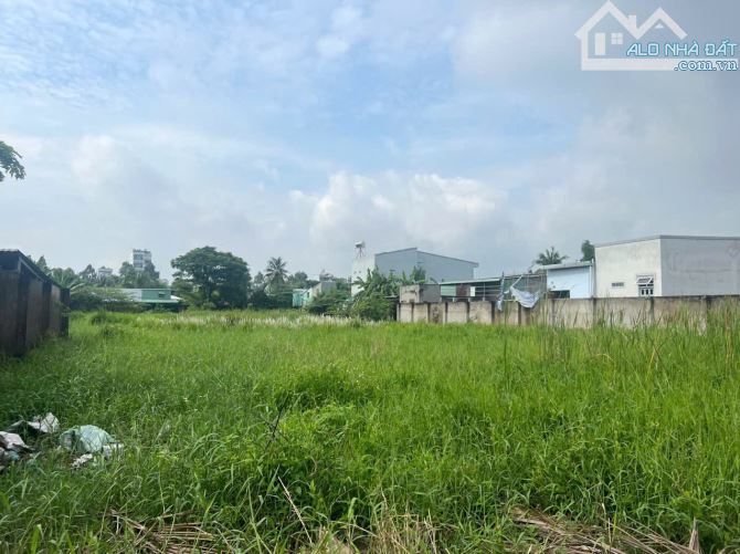 Bán 2494m Đất Mặt Đường Ô Tô cách( Phạm Thạnh)  Lộ Tập Đoàn 100m,Phường 5, Mỹ Tho, TG . - 1
