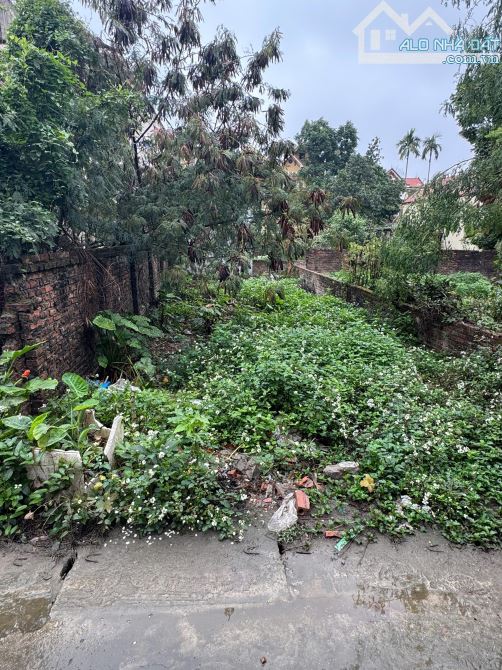 🏡 CHÍNH CHỦ GỬI BÁN GẤP LÔ ĐẤT FUN THỔ CƯ 75M TẠI THÔN  VĂN PHÚ - HOÀNG VĂN THỤ - CHƯƠNG - 1