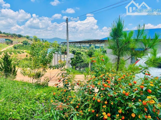 Đất Phía Nam Đà Lạt 23km . Sổ hồng 354m2 . Sẵn 300m2 đất xây dựng - 1