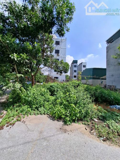 Liên Ninh lô đất TĐC phân lô  2 mặt tiền 60m ô tô tránh siêu đẹp giá 12.2 tỷ - 1