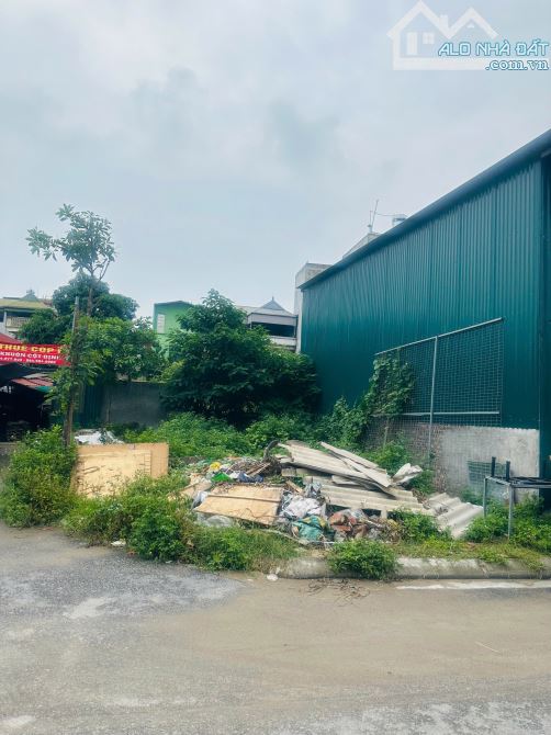 Bán 67m2 đất đấu giá Ngũ Hiệp - Thanh Trì, Lô góc, ô tô tải tránh, Siêu hiếm - 1