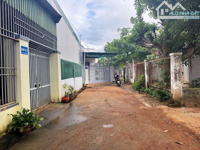 BÁN ĐẤT PHƯỜNG TÂN LỢI TPBMT 2TY550TR (ASB) ĐƯỜNG ÔTÔ VI VU DÂN CƯ HIỆN HỮU TIỆN ÍCH BAO Q - 1