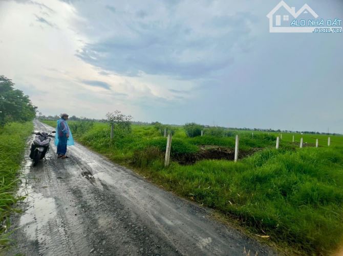 Thuộc xã Tân Lân, huyện Cần Đước, (new Tây Ninh) 595tr - 1