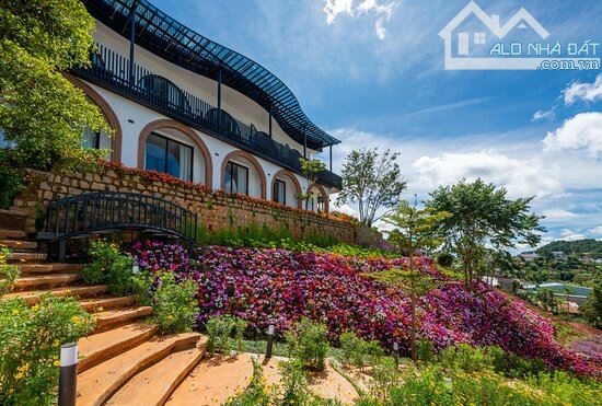 2.600m2 CÓ SẴN KHÁCH SẠN 12 PHÒNG VÀ KHU CAFE THIẾT KẾ ĐẸP -VIEW RỪNG THÔNG HOÀNG HOA THÁM - 1