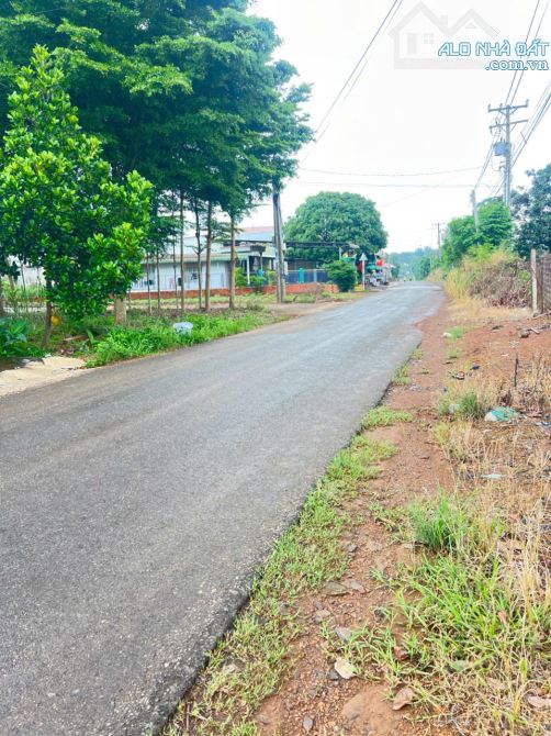 Bán 170m2 đất sổ riêng đường Tây Hòa Trảng Bom Đồng Nai, 920 triệu. - 2