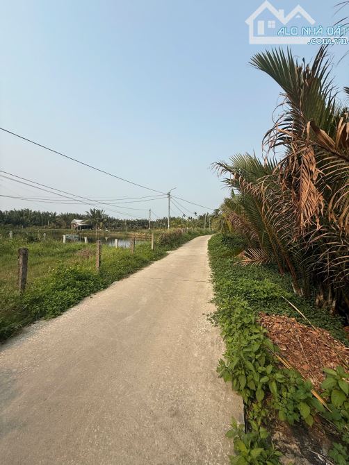 SIÊU RẺ Cẩm Thanh HỘI AN góc 2 mặt tiền View Dừa , Hồ , Sông - 2