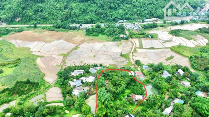 3050m Có 2000m Đất Ở - Phân Lô Đẹp - View Cánh Đồng Làm Nghỉ Dưỡng Cực Chill - 2