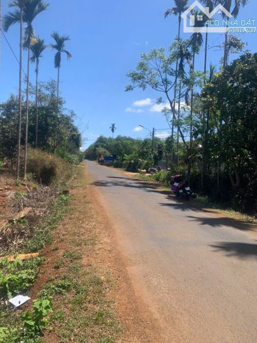 ĐÂT PHƯỜNG TÂN AN MỚI - EATU  CŨ  ĐANG HÓT DT Siêu víp vừa Rộng vưa dài  mặt tiền nguyễn x - 2