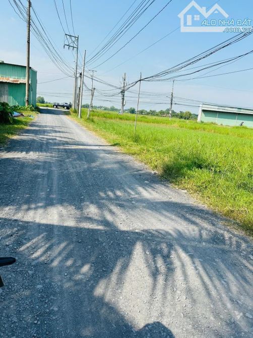 bán gấp lô đất đường đức hoà thượng vào 1sẹc thông tỉnh lộ 9 - 2