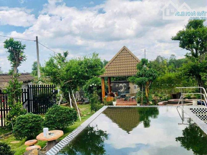 BÁN GẤP ĐẤT VƯỜN SIÊU RỘNG SIÊU ĐẸP TẠI LONG TÂN - BÀ RỊA VŨNG TÀU! - 3