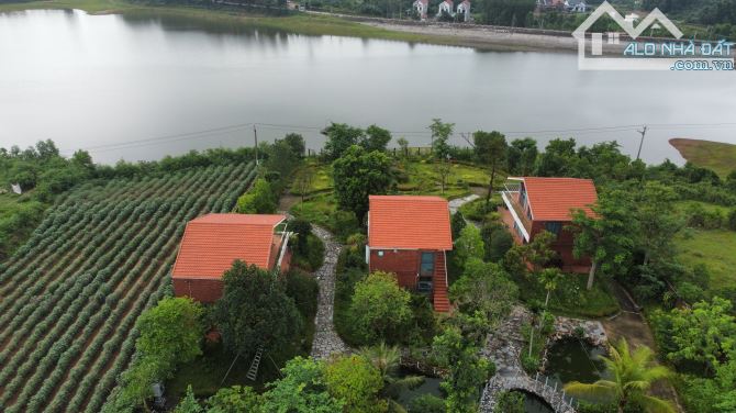 Bán biệt thự nghỉ dưỡng Phúc Xuân Villa, view hồ Cầu Bãi, dòng tiền, 3600m2 MT 36m, 46.8tỷ - 3