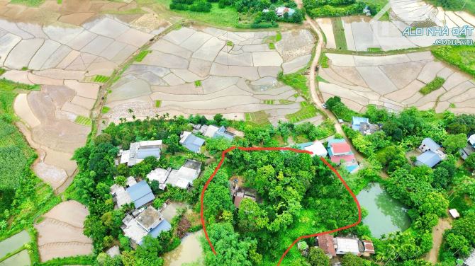 3050m Có 2000m Đất Ở - Phân Lô Đẹp - View Cánh Đồng Làm Nghỉ Dưỡng Cực Chill - 3