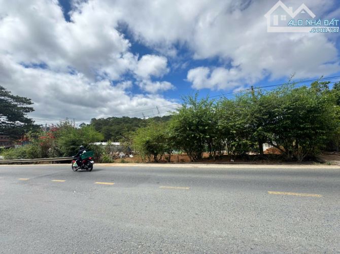 Bán đất biệt thự mặt tiền view rừng thông đường Hoàng Văn Thụ thành phố Đà Lạt - 3