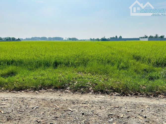 bán gấp lô đất đường đức hoà thượng vào 1sẹc thông tỉnh lộ 9 - 3
