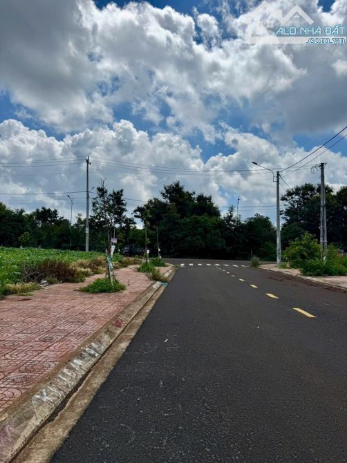 Bán Đât TDP8- 3,2Ha MT Đông Du - P.Tân An - 4