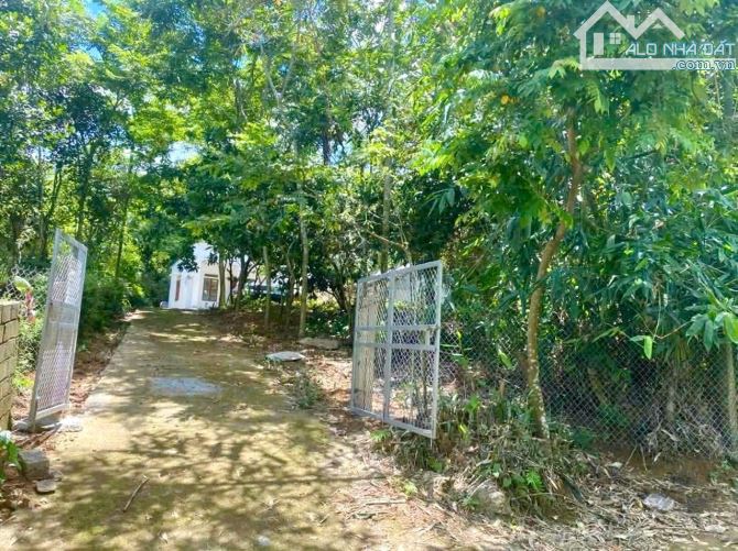 3050m Có 2000m Đất Ở - Phân Lô Đẹp - View Cánh Đồng Làm Nghỉ Dưỡng Cực Chill - 4