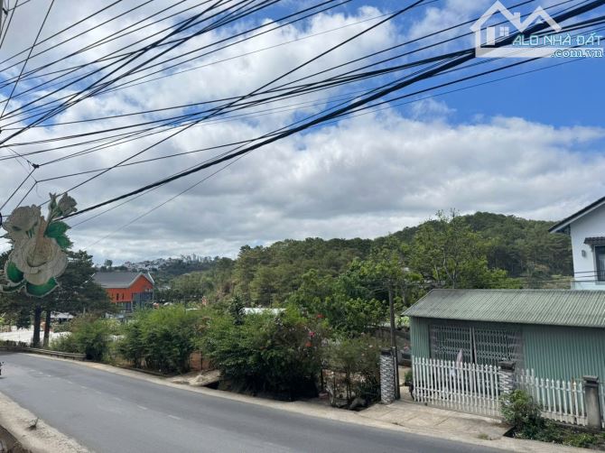 Bán đất biệt thự mặt tiền view rừng thông đường Hoàng Văn Thụ thành phố Đà Lạt - 4
