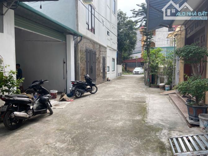 Bán đất ô tô đỗ cửa  Tổ 8 Thạch Bàn Long Biên - 5