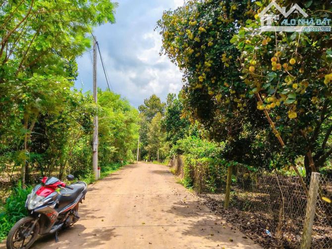 VƯỜN TRÁI CÂY VIEW SUỐI, SẴN THỔ CƯ, CÁCH ĐƯỜNG XÀ BANG - LÁNG LỚN 300M, LIỀN KỀ THỊ TRẤN - 5