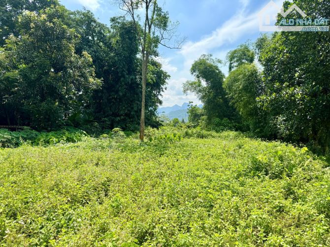 847m Có 158m Đất Ở - Bám Suối Đá Đầu Nguồn Đẹp -  Sát Dự Án Cáp Treo Sun Gruop Kim Bôi - 6