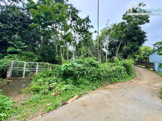 3050m Có 2000m Đất Ở - Phân Lô Đẹp - View Cánh Đồng Làm Nghỉ Dưỡng Cực Chill - 6