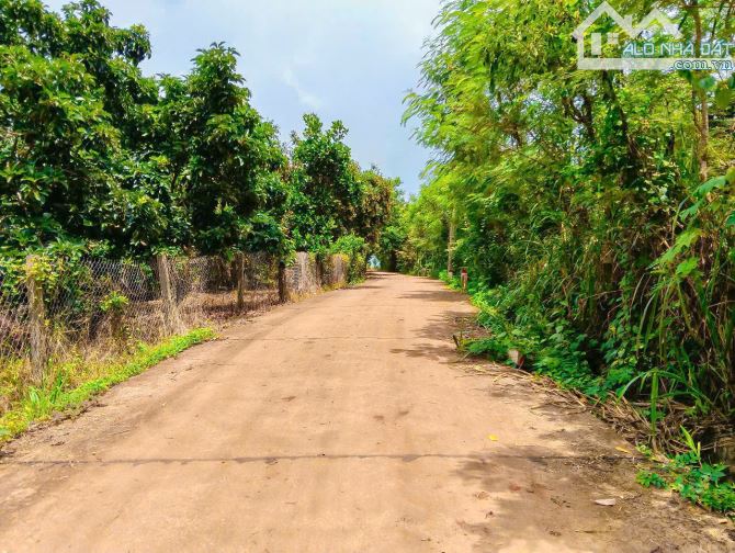 VƯỜN TRÁI CÂY VIEW SUỐI, SẴN THỔ CƯ, CÁCH ĐƯỜNG XÀ BANG - LÁNG LỚN 300M, LIỀN KỀ THỊ TRẤN - 7